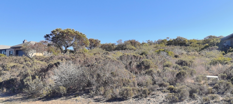 0 Bedroom Property for Sale in Num Num Cape Estate Western Cape